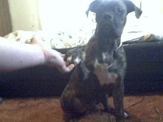Picture_13.webp