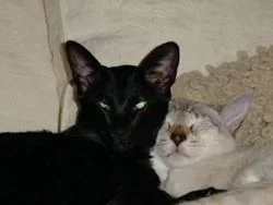Jan_02_1c.webp Jan_02_1c.webp