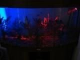 DSC01598.JPG
