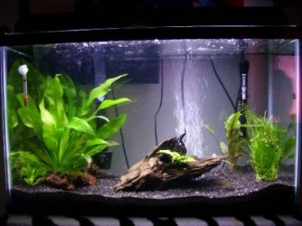 tank2.jpg tank2.jpg