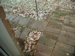 snow.jpg