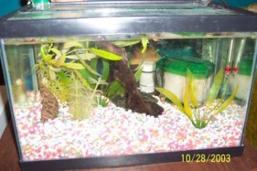 4gallon.jpg