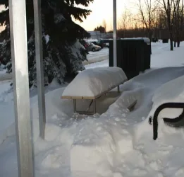 snow.webp