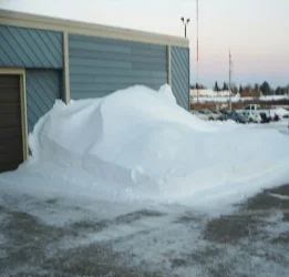snow1.webp