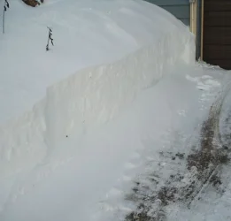 snow3.webp