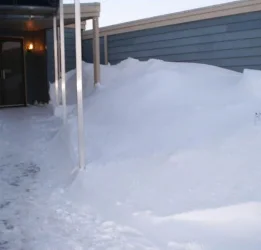 snow2.webp