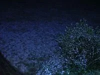 DSCN0138.webp