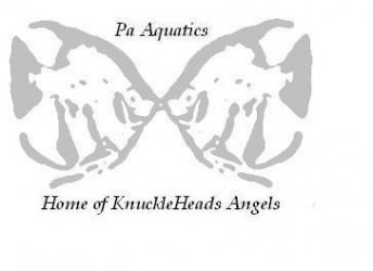 Pa_Aquatics_Final_3.JPG