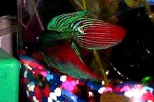 100_0325.JPG