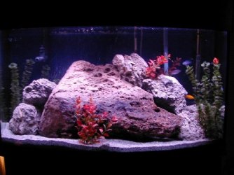 aquarium_00005b.jpg