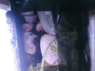 IMG012.webp