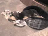 DSC00034.webp