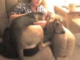 DSC00138.JPG