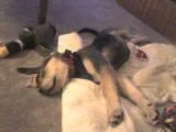 DSC00048.webp