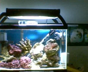 full_tank_5_9_07.webp full_tank_5_9_07.webp