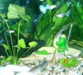 Feeding_Time_3.webp
