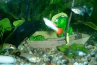 Feeding_Time_5_with_slippery.webp