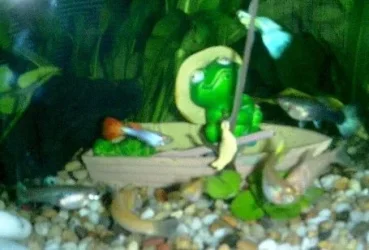 Feeding_Time_4.webp