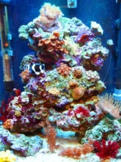 DSCF3680sm.webp