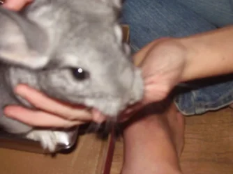 PA110020.webp