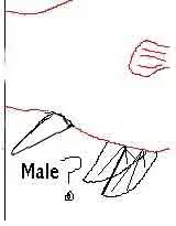 Untitled_1.webp