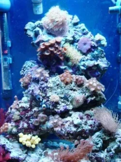 FTS.webp