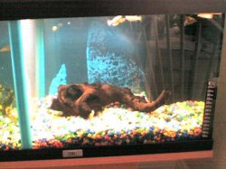 08_06_07_2030.jpg