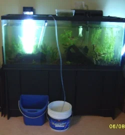 55_rescape_1.webp 55_rescape_1.webp