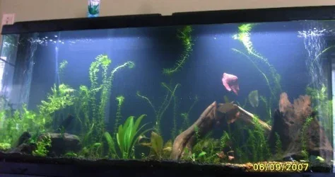 55_rescape_8.webp 55_rescape_8.webp