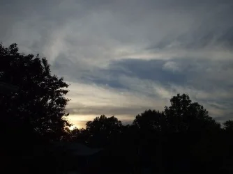 DSCF0137.webp