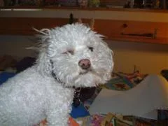 DSCF0103__WinCE_.webp