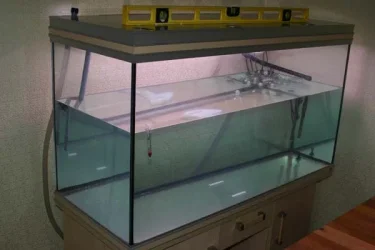 tank1.webp