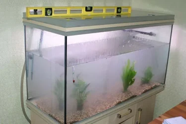 tank2.webp