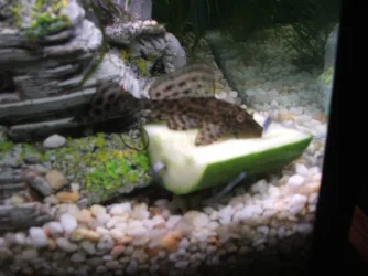 DSCF0841.webp