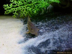 IMAGE_00036.JPG IMAGE_00036.JPG