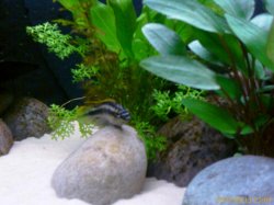 IMAGE_00030.JPG IMAGE_00030.JPG