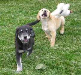 Action_shot.webp Action_shot.webp
