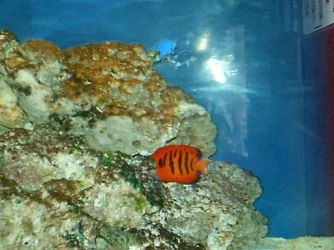 IMAG0099.webp