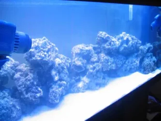 marine_002.webp marine_002.webp