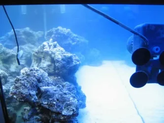 marine_003.webp marine_003.webp