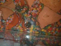 Picture_025__WinCE_.webp