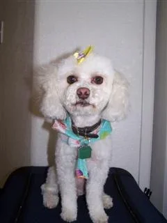 baby_jacobs_015__WinCE_.webp