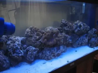 Marine_005.webp Marine_005.webp