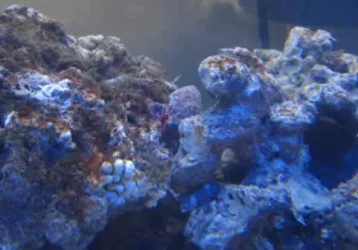 Marine_007.webp Marine_007.webp