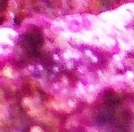 100_3630.webp
