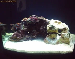 tank1.webp