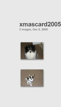 collage9.webp