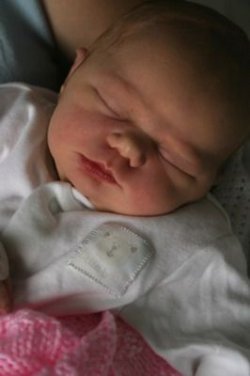 IMG_0799a_resize.jpg