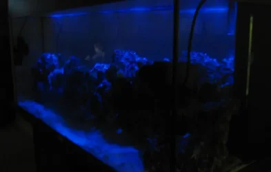 marine_015.webp