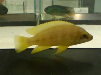 DSC00100.webp
